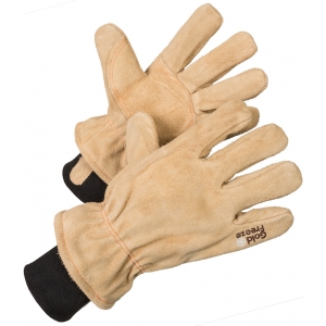 Rękawice Braunbär Coldstore Gloves